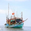 Ca Mau renforce le contrôle de sa flotte de pêche pour lutter contre la pêche INN. Photo: VNA