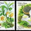 Deux échantillons de timbres présentant les théiers et la culture de thé du Vietnam. Photo: Vietnam Post 