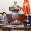 Le ministre des Affaires étrangères Bui Thanh Son (droite) reçoit à Hanoi le chef du Département de recherche des politiques du Parti libéral-démocrate du Japon (PLD) Tokai Kisaburo. Photo: VNA