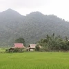 Le village de Na Kho surmonte les pertes de la guerre et prospère