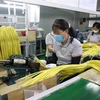 Chaîne de production de la Sarl Nienyi Việt Nam. Photo: VNA