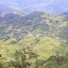 Mu Cang Chai dans le top des lieux à la beauté surréaliste à travers le monde