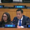 L'ambassadeur Dang Hoang Giang, chef de la Mission permanente du Vietnam auprès de l'ONU. Photo: VNA