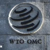 Symbole de l'OMC à Genève. Photo: AFP/VNA