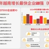 2024年越南增长最快企业500强