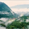 清化省浦良自然保护区制定三珍贵植物保护计划