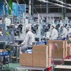 A production line at a factory. Photo: An Phat Holdings/VietnamPlus