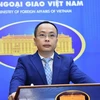 Deputy Spokesperson of the Ministry of Foreign Affairs Doan Khac Viet. (Photo: VNA)