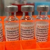 Novavax/Nuvaxovid vaccine (Photo: Reuters)