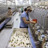 A fibre production plant in the central province of Ha Tinh (Photo: VNA)