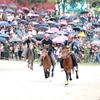 At the horse race in Lao Cai (Photo: baophapluat.vn)