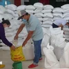 Rice will be distributed to five central and Central Highlands provinces. (Photo: VNA)