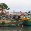 Fishing boats in Tieng Giang province. (Photo: VNA)