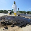 Workers clean up oil spills on Tanjong beach on Sentosa Island, Singapore, on June 16, 2024. (Photo: Xinhua/VNA)