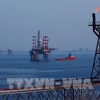 On Bach Ho oil field (Photo: VNA)