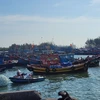 Ba Ria – Vung Tau tightens management over unregistered fishing vessels. (Photo: VNA)