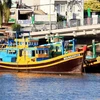 Fishing vessels from Binh Thuan province are moored on the Ca Ty river. (Photo: VNA)