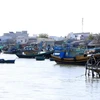 Fishing boats anchor on Ca Ty river, Phan Thiet city of Binh Thuan province (Photo: VNA)