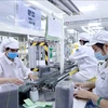 Manufacturing electronics components at Youngbag ViNa company, Binh Xuyen Industrial Zone, Vinh Phuc province (Photo: VNA)