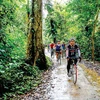 Tourists cycle in Xuan Son National Park in the northern province of Phu Tho. (Photo; baophutho.vn)