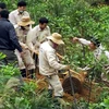 MAG staff conduct bomb and mine clearance activities in Quang Binh (Photo: VNA)