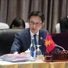 Vietnamese Deputy Minister of Foreign Affairs Do Hung Viet (Photo: VNA)