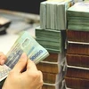 A teller counts money at a credit institution's branch. (Photo: tienphong.vn)