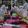 Workers process shrimp for export (Photo: VNA)