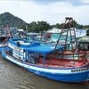 Thanh Hoa's offshore fishing vessels (Photo: VNA)