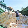 Workers package rice for export at Thoai Son Food Co.Ltd, a member of Loc Troi Group Joint Stock Company. (Photo: VNA)