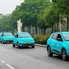 EVs made by Vietnamese maker VinFast (Photo: VNA)