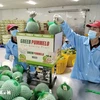 Workers package pomelos for export. (Photo: VNA)