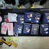 Nearly 100 passports are confiscated (Photo: VNA)