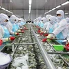 Vietnam ships nearly 2 billion USD worth of shrimp aboard during January-July. (Photo: nhandan.vn)