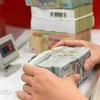 The daily reference exchange rate for the US dollar is set at 24,260 VND/USD on August 9. (Photo: VNA)