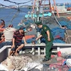 A border guard soldier inspects the installation of the vessel monitoring system (VMS) on a fishing vessel at Cat Lo fishing port. (Photo: VNA)