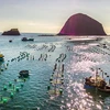 Lobster farm in south central province of Phu Yen (Photo: VNA)