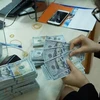 A bank teller counts money at a transaction office in Hanoi. (Photo: VNA)