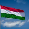 The flag of Hungary. Photo: VNA