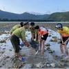 The turtle is returned to the sea. (Photo: moitruong.net.vn)