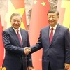 Party General Secretary and State President To Lam (L) shakes hands with his Chinese counterpart Xi Jinping (Photo: VNA) 