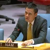 Ambassador Dang Hoang Giang, Permanent Representative of Vietnam to the United Nations (UN) speaks at the open debate on August 21. (Photo: VNA)