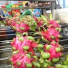 Vietnamese durian and dragon fruit are favoured by Chinese consumers, with China’s import of these fruit from the Southeast Asian nation accounting for one-fifth of its total from the ASEAN region. (Photo: VNA)