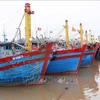 Fishing boats docking at a port in Nam Dinh (Photo: VNA)