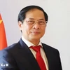 Vietnamese Deputy Prime Minister and Minister of Foreign Affairs Bui Thanh Son. (Photo: VNA)