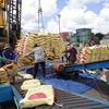 Vietnamese rice is being loaded for transport at a seaport in HCM City. (Photo: VNA)