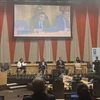 Ambassador Dang Hoang Giang, Permanent Representative of Vietnam to the UN, speaks at the UNDP Executive Board's dialogue with member states on actions to accelerate the adoption of sustainable energy for development, held in New York on August 27. (Photo: VNA)