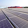 About 30-50% of the total garment-textile firms have installed their own rooftop solar power systems (Photo: baodautu.vn)