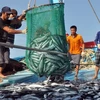 Fishermen in the central coastal province of Khanh Hoa. (Photo: VNA)