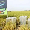 Devices to gauge greenhouse gas emission in an organic rice farming model in Can Tho (Photo: VNA)